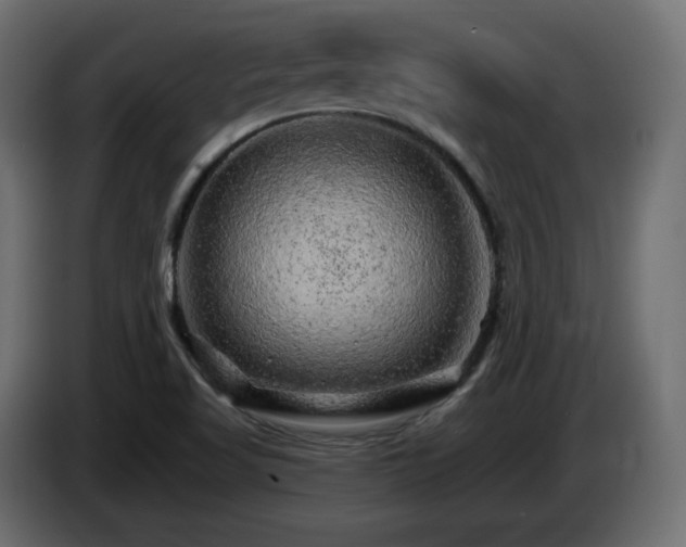 X0000085061509200703051428