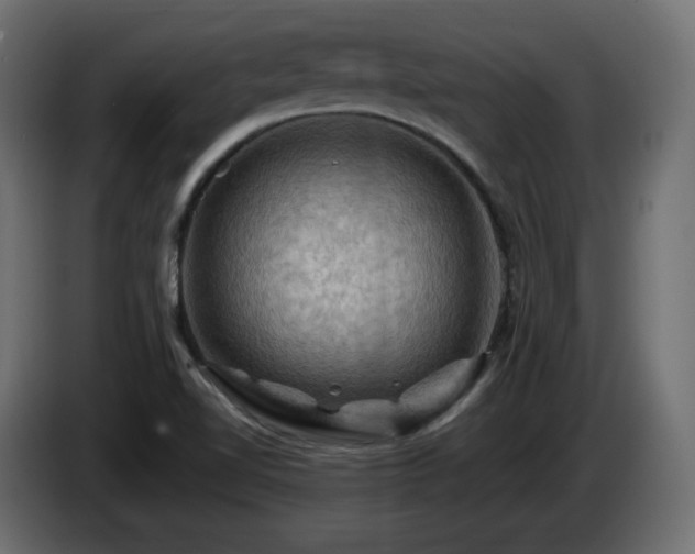 X0000085061510200703051428