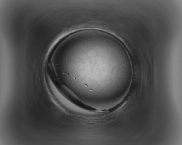 X0000085061511200703051428