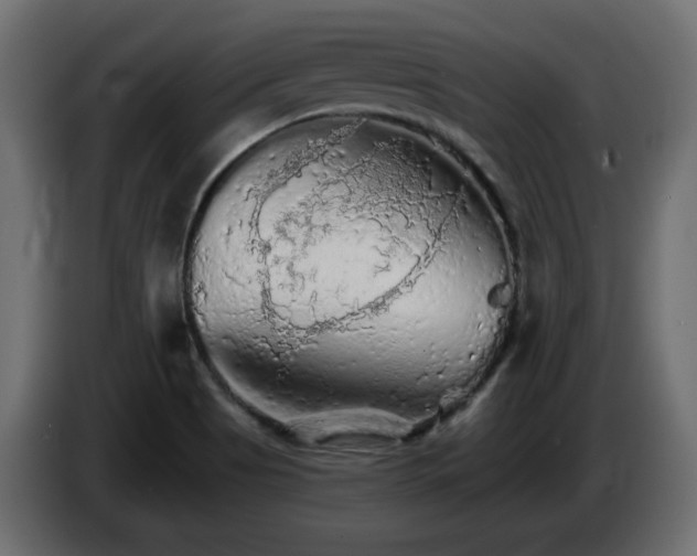 X0000085061513200703051428