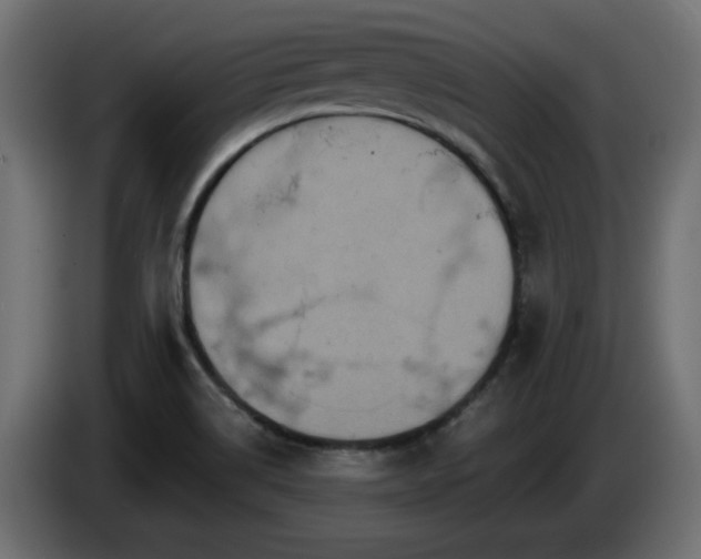 X0000085061514200703051428