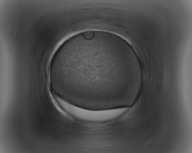X0000085061515200703051428
