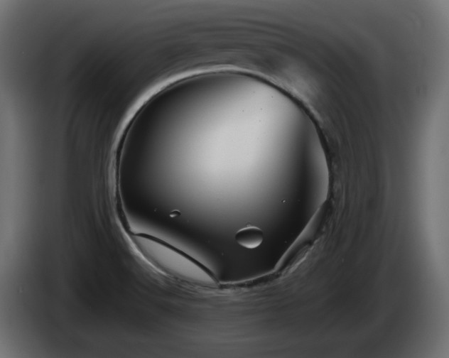 X0000085061516200703051428