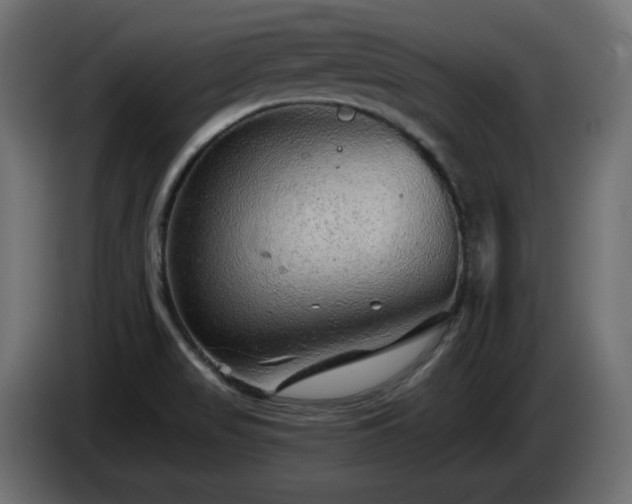 X0000085061517200703051428