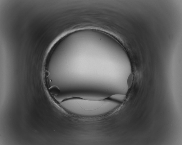 X0000085061518200703051428