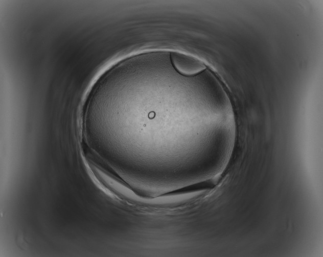 X0000085061519200703051428