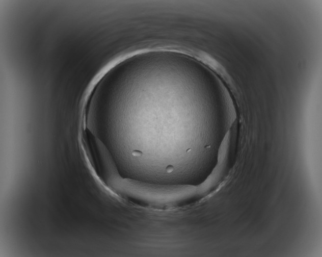 X0000085061520200703051428