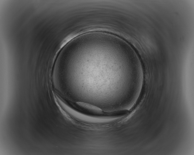 X0000085061521200703051428