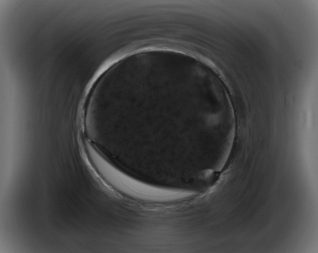 X0000085061522200703051428