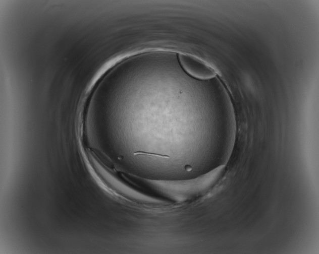 X0000085061523200703051428