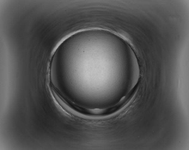 X0000085061524200703051428