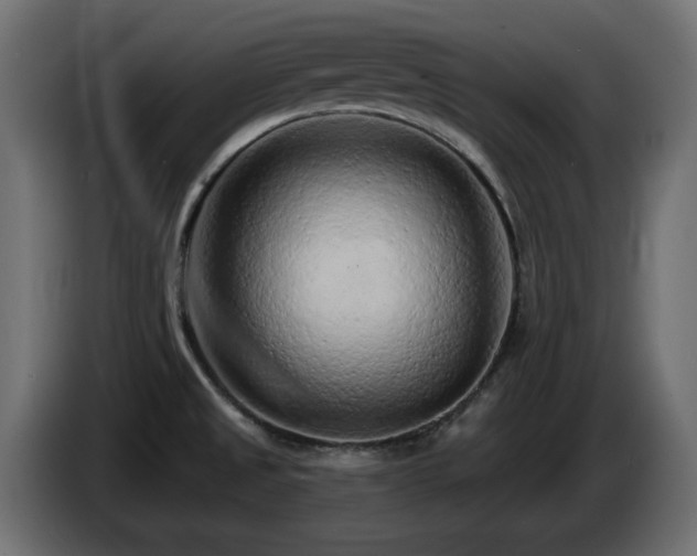 X0000085061525200703051428