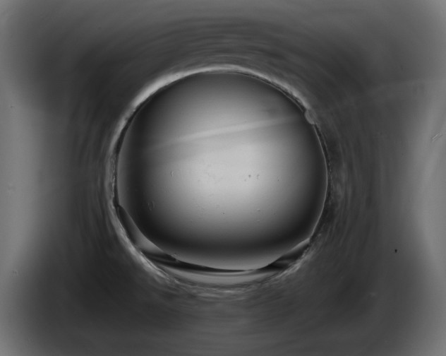 X0000085061526200703051428