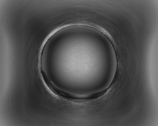 X0000085061528200703051428