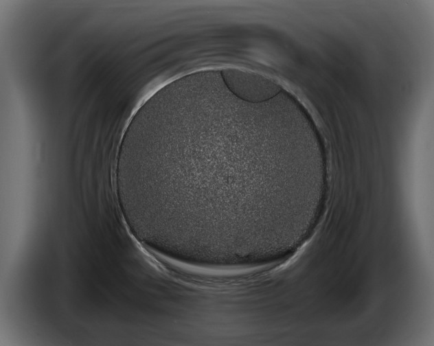 X0000085061529200703051428