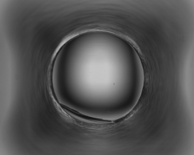 X0000085061530200703051428