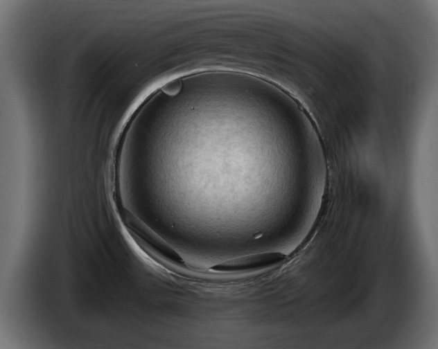 X0000085061531200703051428