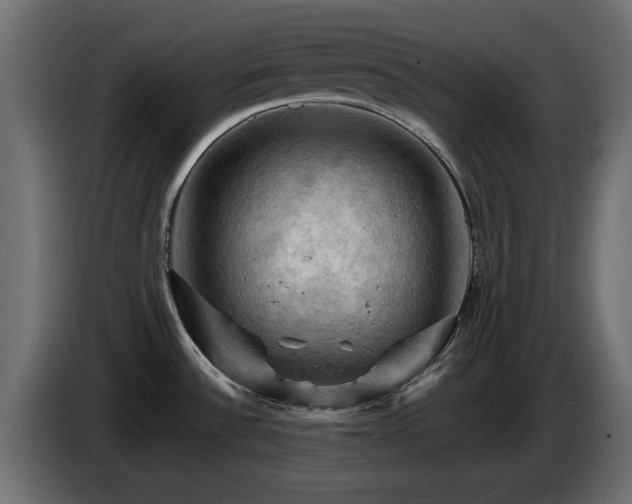 X0000085061532200703051428