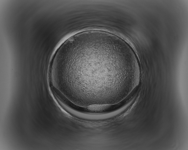 X0000085061533200703051428