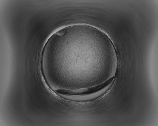 X0000085061534200703051428