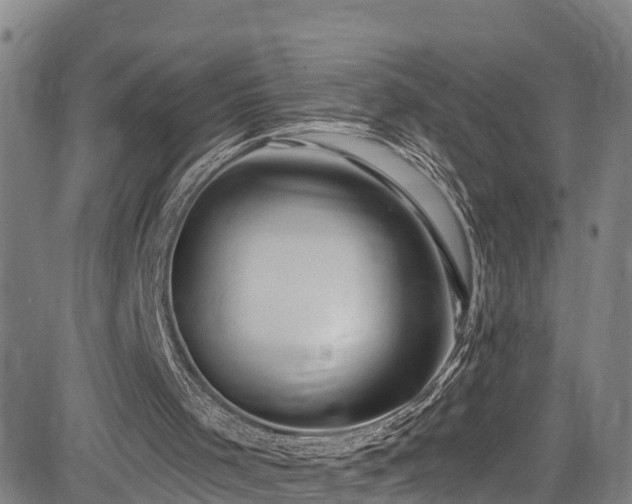 X0000085060001200703121537