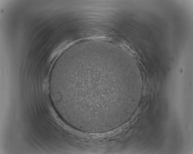 X0000085060002200703121537