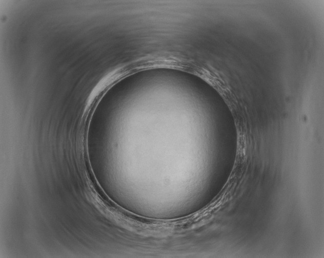 X0000085060004200703121537