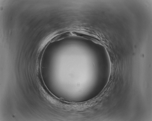 X0000085060005200703121537