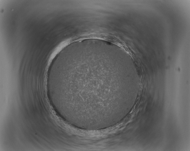 X0000085060006200703121537