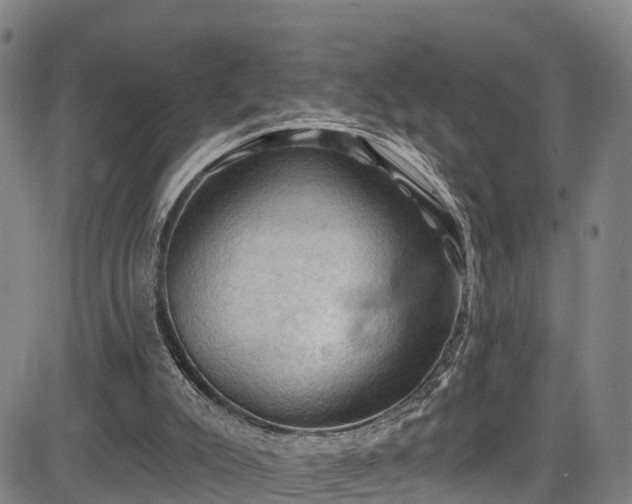 X0000085060007200703121537