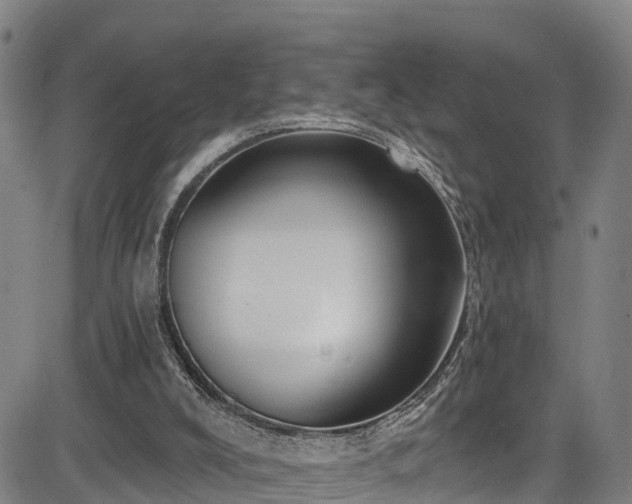 X0000085060008200703121537