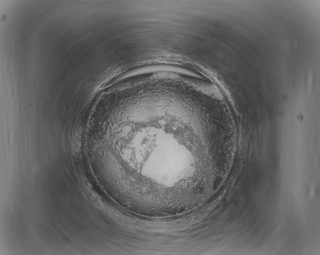 X0000085060010200703121537