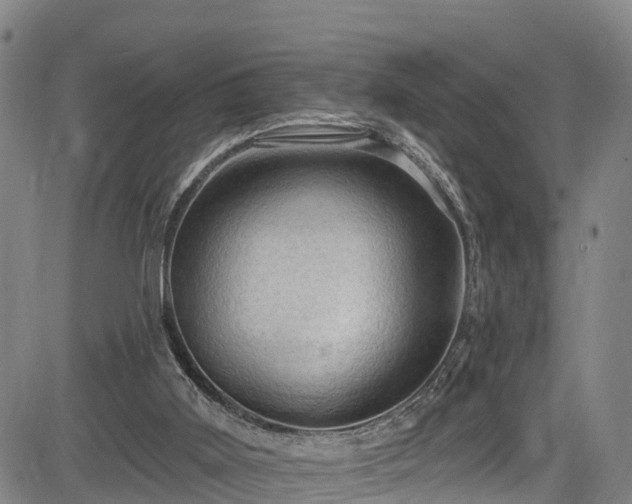 X0000085060011200703121537