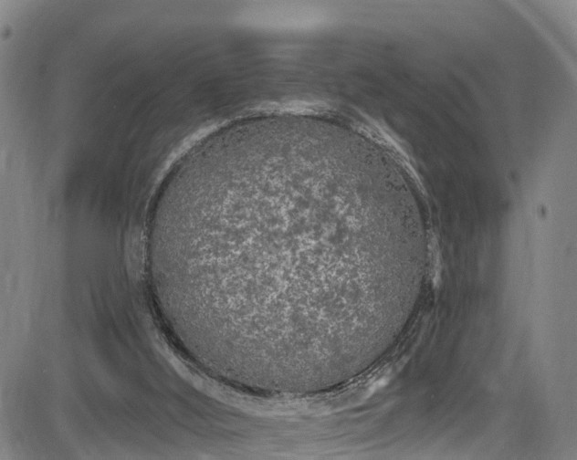 X0000085060012200703121537