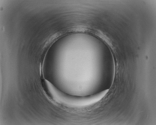 X0000085060013200703121537