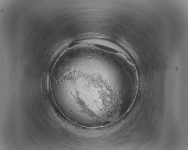 X0000085060014200703121537