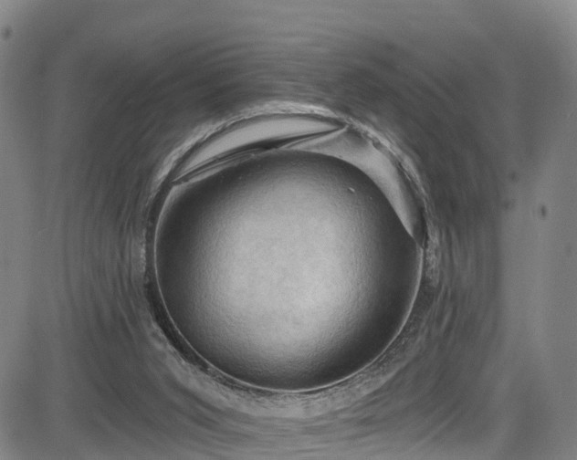 X0000085060015200703121537