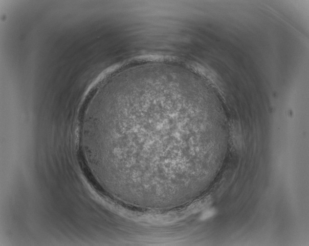 X0000085060016200703121537