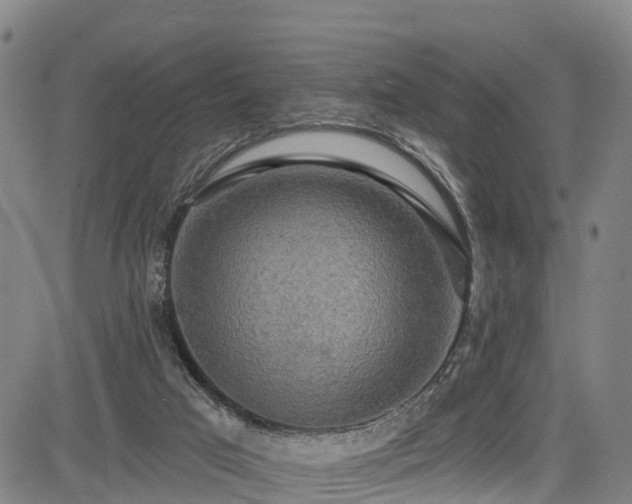 X0000085060017200703121537