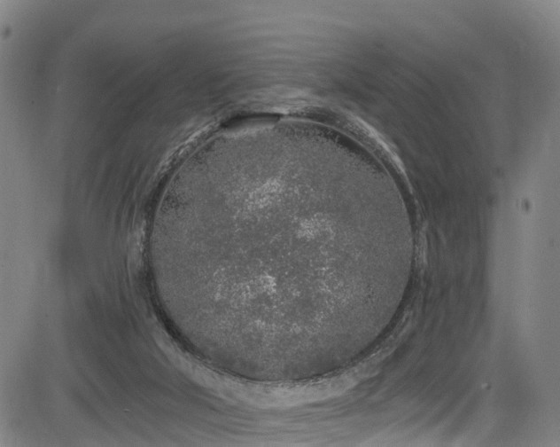 X0000085060018200703121536