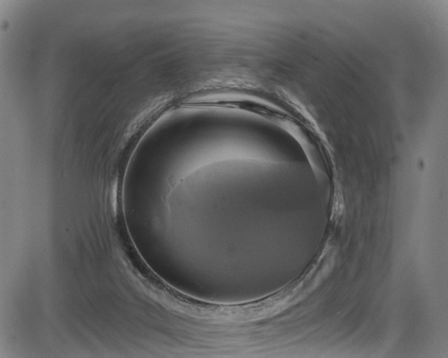 X0000085060019200703121536