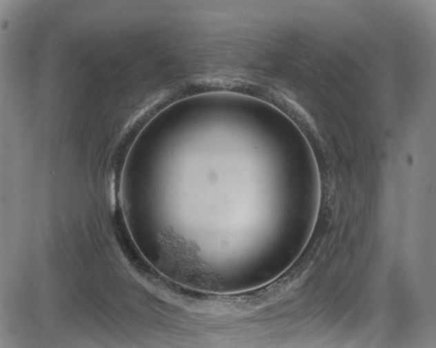 X0000085060020200703121536