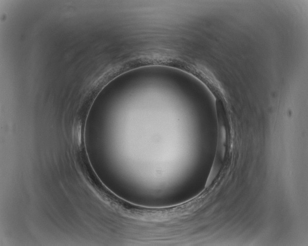 X0000085060021200703121536