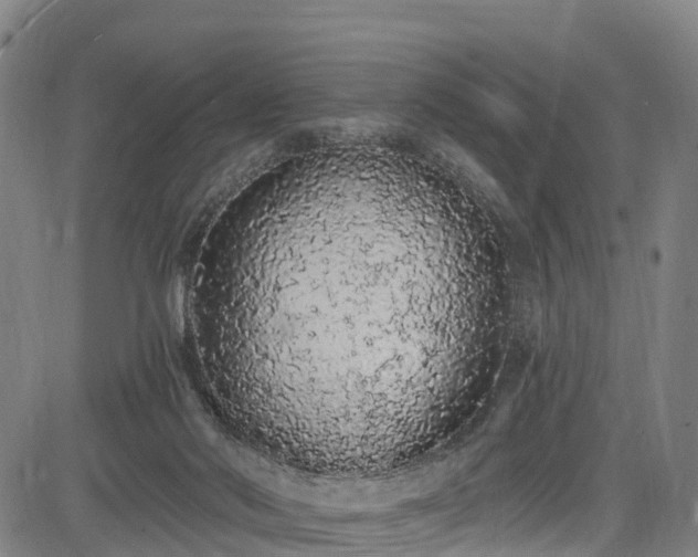 X0000085060022200703121536