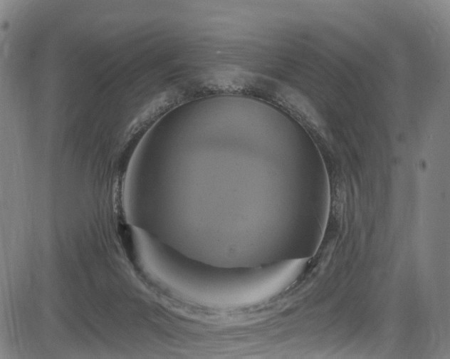 X0000085060023200703121536