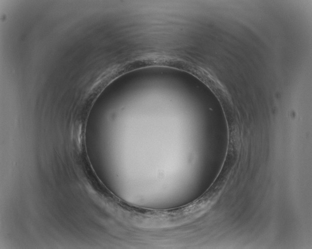 X0000085060024200703121536