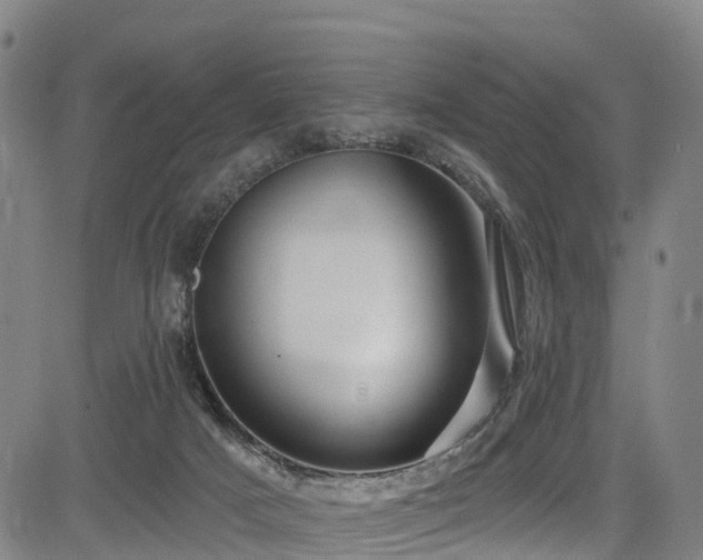 X0000085060025200703121536