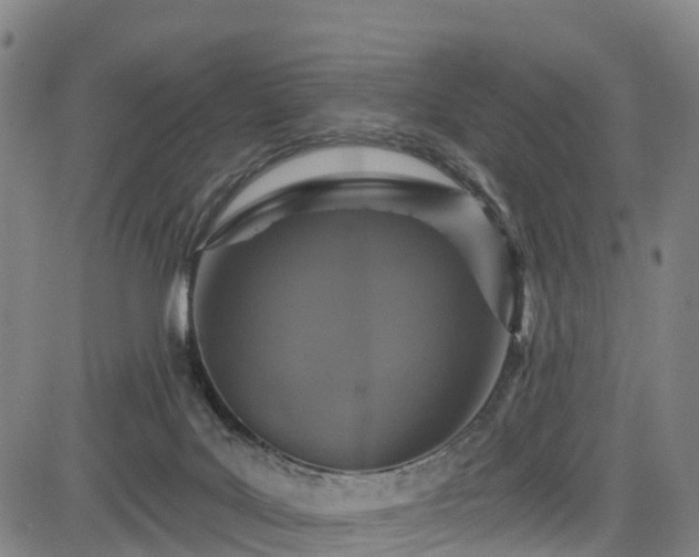 X0000085060027200703121536