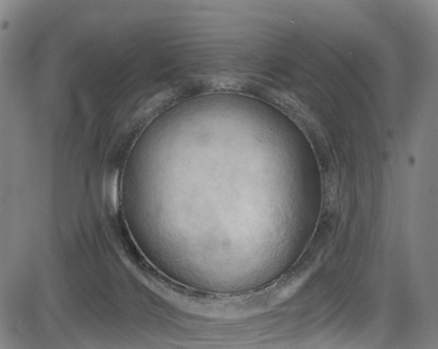 X0000085060028200703121536