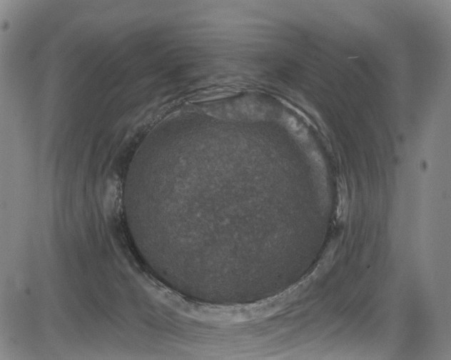 X0000085060029200703121536